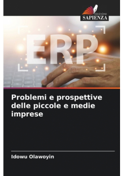 Problemi e prospettive delle piccole e medie imprese