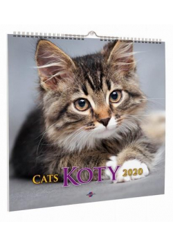 Kalendarz 2020 KD-21 Koty AVANTI