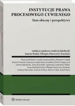 Instytucje prawa procesowego cywilnego Stan obecny i perspektywy