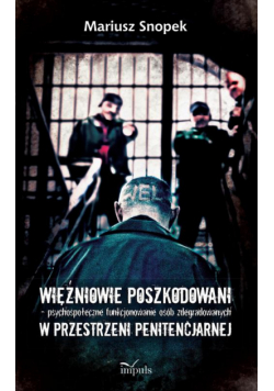 Więźniowie poszkodowani – psychospołeczne funkcjonowanie osób zdegradowanych w przestrzeni penitencjarnej