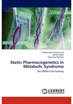 Statin Pharmacogenetics in Metabolic Syndrome