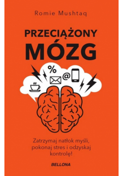 Przeciążony mózg
