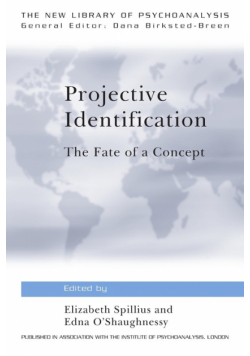 Projective Identification