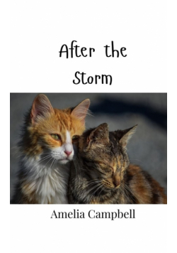 After the Storm