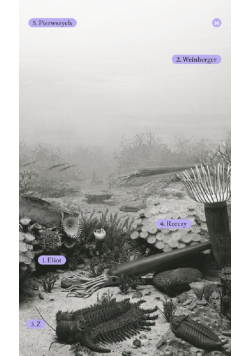 Z rzeczy pierwszych