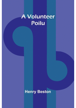 A Volunteer Poilu