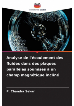 Analyse de l'écoulement des fluides dans des plaques parallèles soumises à un champ magnétique incliné