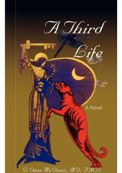 A Third Life, a Novel