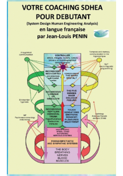 Votre coaching SDHEA pour débutant