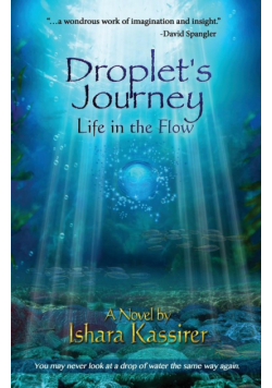 Droplet's Journey