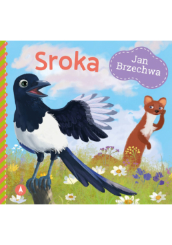 Sroka