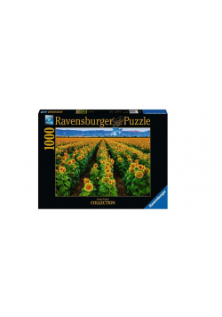Puzzle 1000 Pola słoneczników