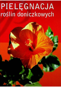 Pielęgnacja roślin doniczkowych
