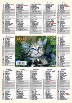 Kalendarz 2025 listkowy 1szt.mix