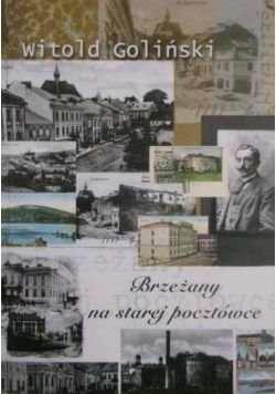 Brzeżany na starej pocztówce