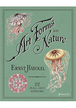 Art Forms in Nature Poster Book