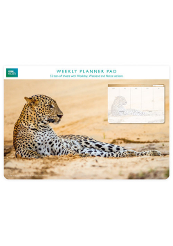 Planer tygodniowy Leopard in sand