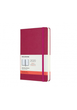 Kalendarz 2020 dzienny 12ML tw. Snappy pink