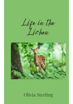 Life in the Lichen