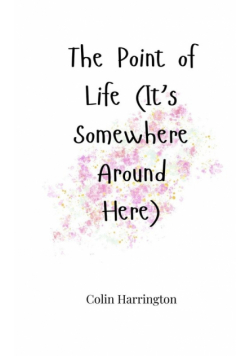 The Point of Life (It's Somewhere Around Here)