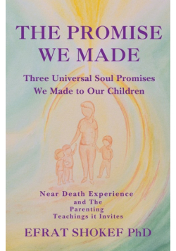 The Promise We Made