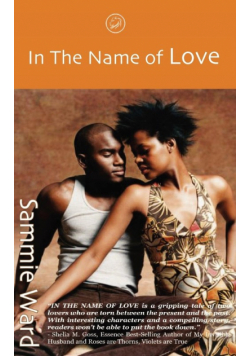 In the Name of Love (LoveStorm Romance)