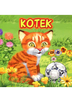 Campbell Katarzyna - Kotek