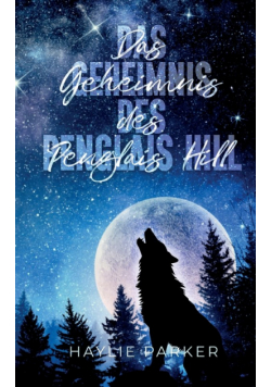 Das Geheimnis des Penglais Hill