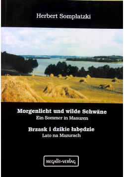 Brzaski i dzikie łabędzie Lato na mazurach