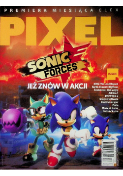 Pixel  Nr 31 / 17