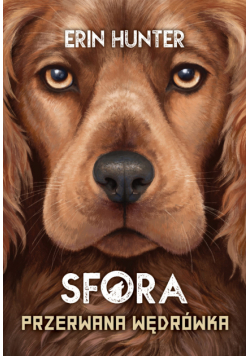 Sfora (Tom 4). Przerwana wędrówka