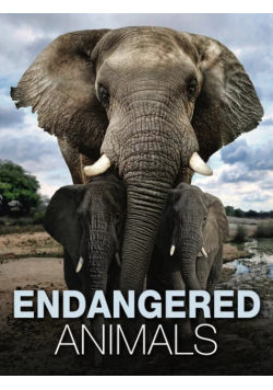 Endangered Animals