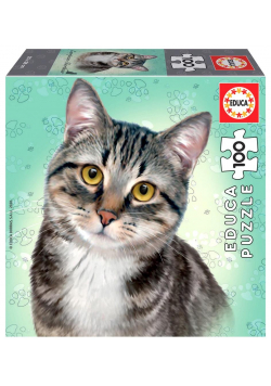 Puzzle 100 Koty - Europejski krótkowłosy G3