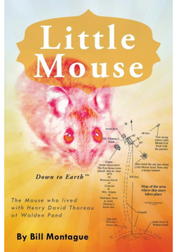 Little Mouse