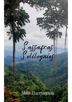 Sassafras Soliloquies
