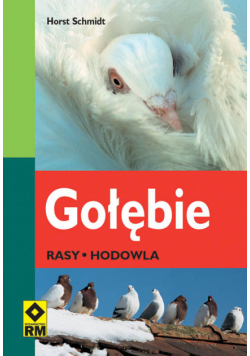 Gołębie Rasy hodowla