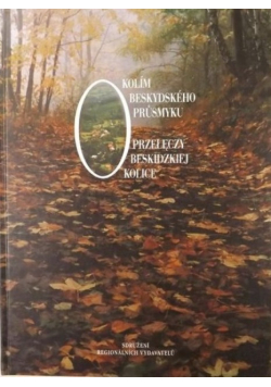 Okolice beskidzkiej przełęczy