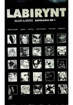 Labirynt antologia Nr 1
