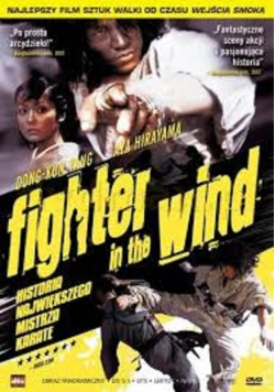 Fighter in the wind DVD
