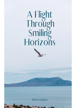 A Flight Through Smiling Horizons