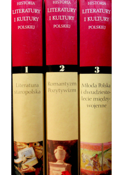 Historia Literatury i Kultury Polskiej 3 Tomy