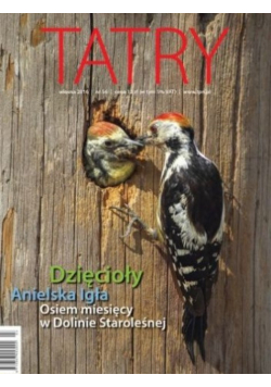Tatry Nr 56 / 16