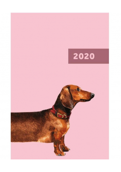 Kalendarz 2020 A5 tygodniowy Overgrown NARCISSUS