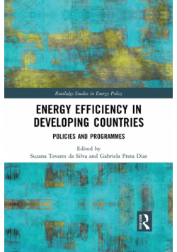 Energy Efficiency in Developing Countries
