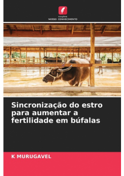 Sincronização do estro para aumentar a fertilidade em búfalas