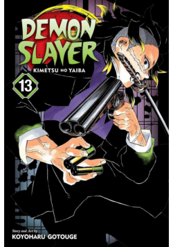 Demon Slayer Kimetsu no Yaiba vol. 13
