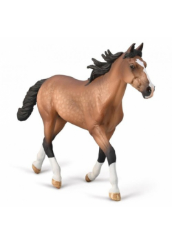 Ogier standardbred maści gniadej