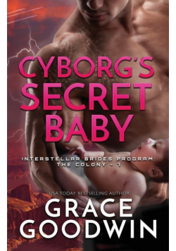 Cyborg's Secret Baby