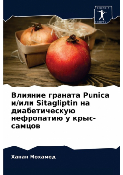 Влияние граната Punica и/или Sitagliptin на диабетическую нефропатию у крыс-самцов
