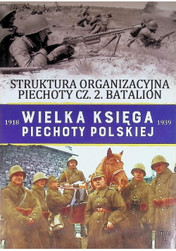 Wielka Księga Piechoty Polskiej Tom 47 45 dywizja piechoty rezerwowa